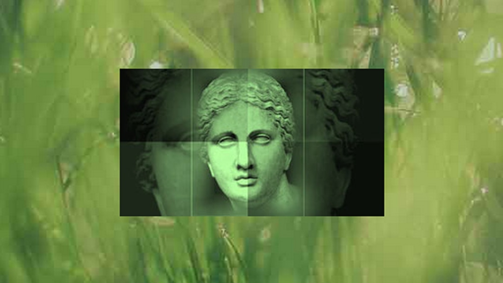 Facialiasparese Schweiz